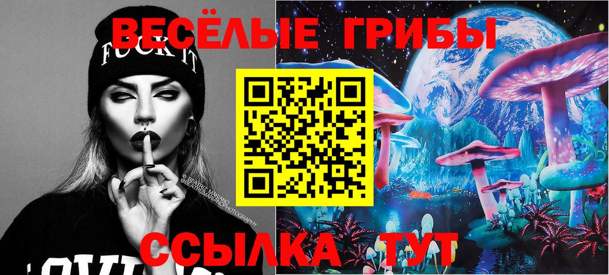 Галлюциногенные грибы Cubensis Коряжма