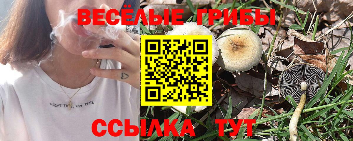Коряжма  Галлюциногенные грибы Magic Shrooms  Вход с VPN 